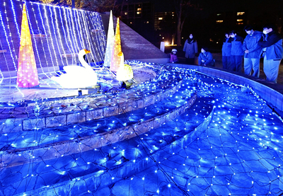 冬の公園内を彩るイルミネーション