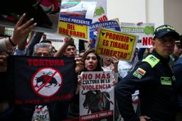 　コロンビア・ボゴタで、闘牛を禁じる法案の成立を訴える動物愛護活動家ら＝５月８日（ロイター＝共同）