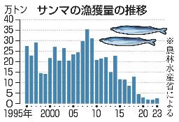 　サンマの漁獲量の推移