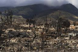 　山火事に見舞われた米ハワイ州マウイ島西部ラハイナ＝２０２３年８月（ＡＰ＝共同）