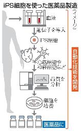 　ｉＰＳ細胞を使った医薬品製造（イメージ）