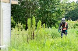 　除染のため、特定帰還居住区域で宅地内の草を刈る作業員＝５日午前、福島県富岡町