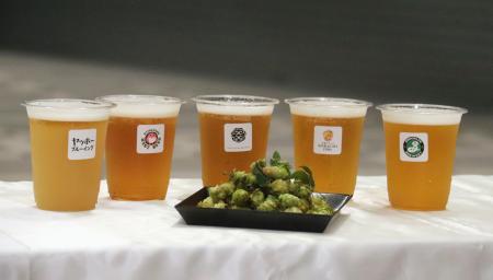 　ビアガーデンで提供する５社のビールと原料のホップ「ソラチエース」