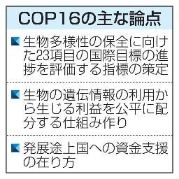 　ＣＯＰ１６の主な論点