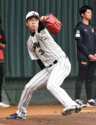 　国際大会プレミア１２に向けた合宿で、投球練習する野球日本代表の才木＝宮崎市