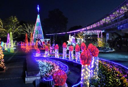 　関係者にお披露目された、とっとり花回廊の「フラワーイルミネーション」＝１３日夜、鳥取県南部町