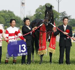 　２０１０年、ＮＨＫマイルカップで優勝し、記念写真に納まるダノンシャンティと安藤勝己騎手（左端）ら＝東京競馬場