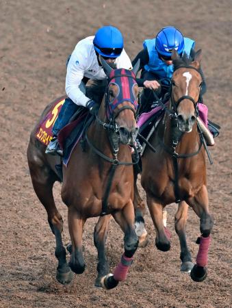 　オークスに向け最終追い切りを行うエンブロイダリー（左）＝美浦トレーニングセンター