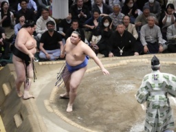 　大相撲夏場所１３日目、琴桜（左）を寄り切りで破り優勝を決めた大の里。横綱昇進を確実にした＝２３日、東京・両国国技館