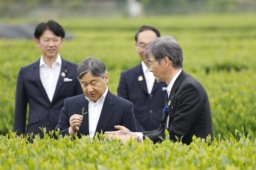 　埼玉県入間市の県茶業研究所で狭山茶の品種育成について説明を受けられる天皇陛下＝２４日午後