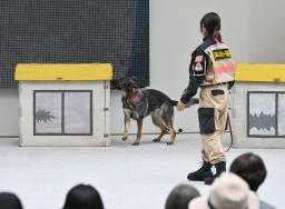 　人とペットとの共生の在り方を探るイベントで、訓練を実演する災害救助犬＝２７日午後、大阪市此花区の夢洲