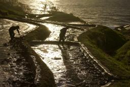 　写真集に掲載されている、能登半島地震前の「白米千枚田」（望月政男さん撮影）