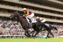 　第９２回日本ダービーを制したクロワデュノール＝東京競馬場