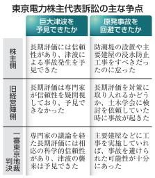 　東京電力株主代表訴訟の主な争点