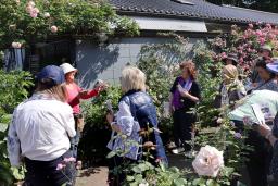 　「坂野ガーデン」代表の坂野郁子さん（左から２人目）の説明を聞く「世界バラ会議」の参加者ら＝５月、茨城県常総市