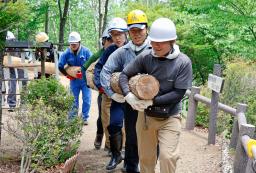 　「御巣鷹の尾根」で丸太を運ぶ群馬県警の警察官＝７日午前、群馬県上野村