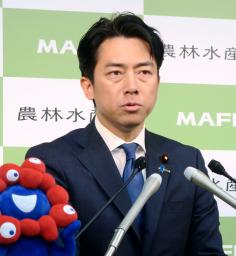 　閣議後記者会見で、政府備蓄米を随意契約で２０万トン追加放出すると発表した小泉農相＝１０日午前、農水省