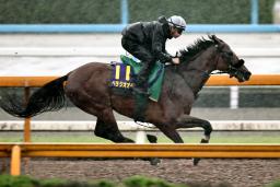 　宝塚記念に向け、調整するベラジオオペラ＝栗東トレーニングセンター