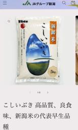 　削除された偽サイト（ＪＡ新潟中央会提供）