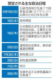 　想定される主な政治日程
