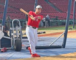 　打撃練習するレッドソックス・吉田＝ボストン（共同）