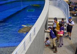 　リニューアルオープンした徳島県美波町のウミガメ専門博物館「日和佐うみがめ博物館カレッタ」＝１９日