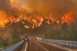 　２３日、炎上するトルコ西部の森林（ＡＰ＝共同）