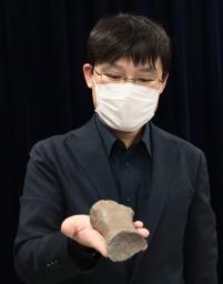 　新属新種のセミクジラの一種と判明したクジラの化石を手にする札幌市博物館活動センターの田中嘉寛学芸員＝２６日午後、札幌市役所