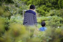 　息子の手を握り、公園を散歩するシングルマザー（本文とは関係ありません）