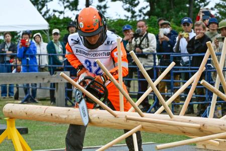　日本伐木チャンピオンシップのプロフェッショナルクラスで優勝した今井陽樹さん＝１９日、鳥取市