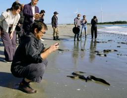 　天竜川河口に放流したウナギを見守る養鰻業関係者ら＝７日午前、浜松市
