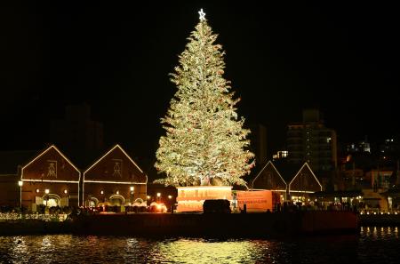 　北海道函館市の赤レンガ倉庫前で点灯された巨大クリスマスツリー＝２９日夜