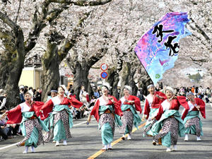 夜の森に響く鳴子の音 桜まつりでよさこい演舞：福島民友ニュース